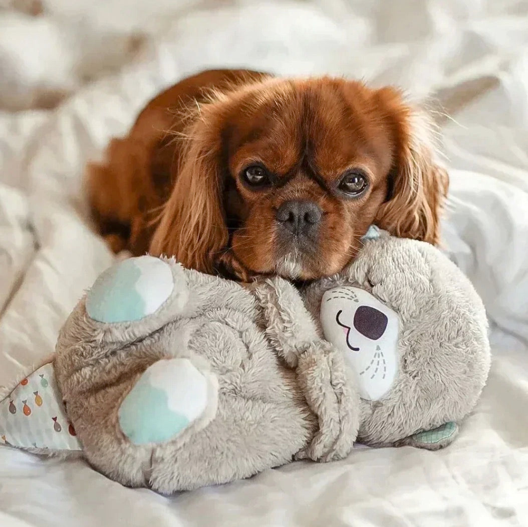 Azzy Calming Otter Plush For Pets